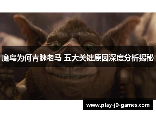 魔鸟为何青睐老马 五大关键原因深度分析揭秘